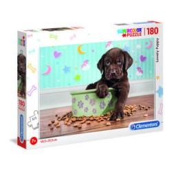 180 Cachorro Adorable