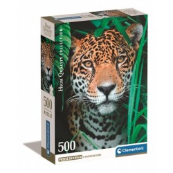 500 Jaguar en la Selva (Compact Pro Ecologia)