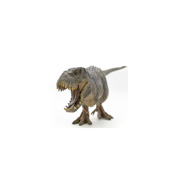 TYRANNOSAURUS REX - GRIS