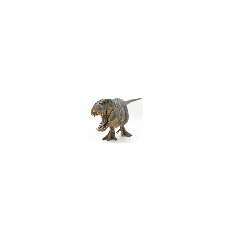TYRANNOSAURUS REX - GRIS
