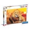 180 Leones Abrazo Calido