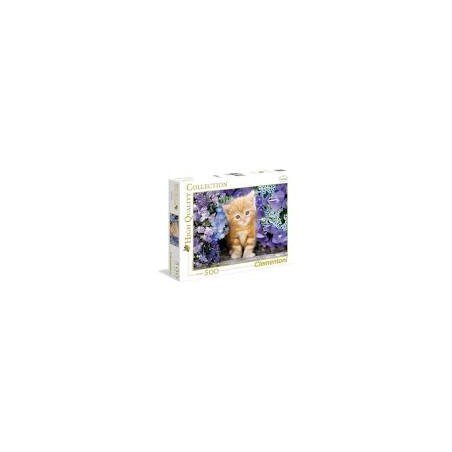 500 Gatito entre Flores GINGER CAT