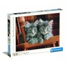 500 Gatitos grises