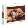 500 Perro y Gato Acurrucados CUDDLES