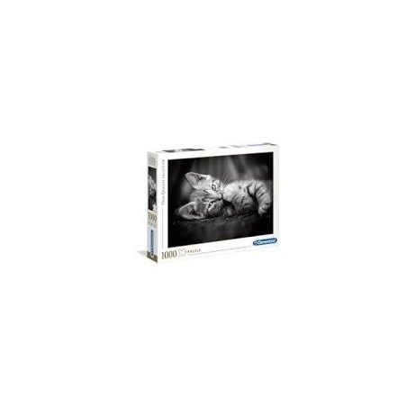 1000 Gato Blanco y Negro KITTTY