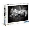 1000 Gato Blanco y Negro KITTTY