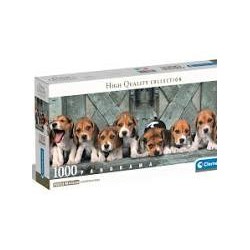 1000 Panorama Beagles