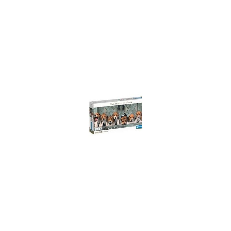 1000 Panorama Beagles