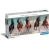 1000 Panorama Caballos (Compact Pro Ecologia)