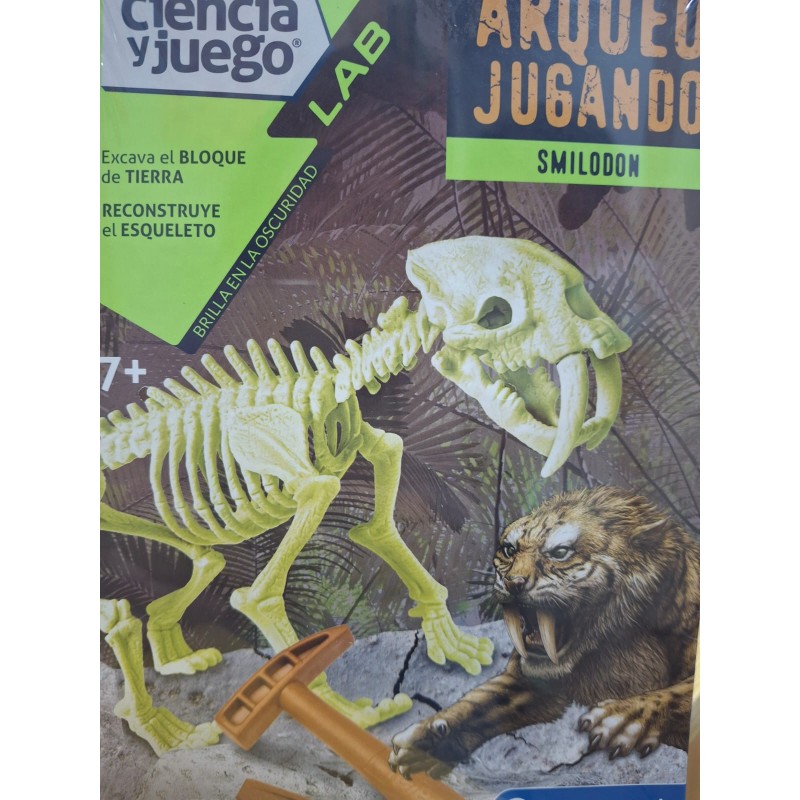 Arqueo Jugando Smilodon