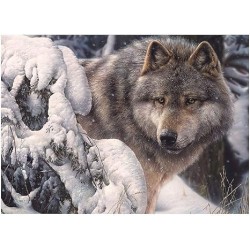 1000 Lobo Master of the North