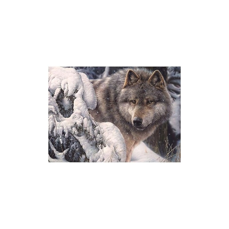 1000 Lobo Master of the North