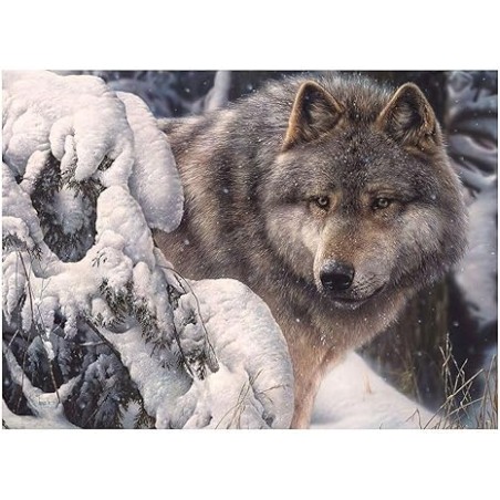 1000 Lobo Master of the North