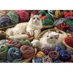 1000 Ragdolls
