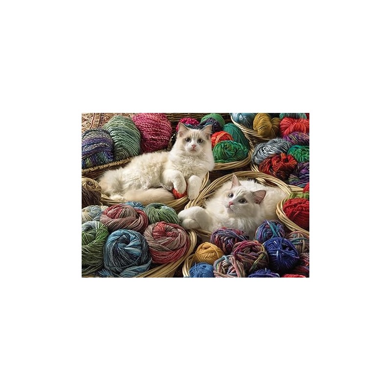 1000 Ragdolls