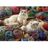 1000 Ragdolls