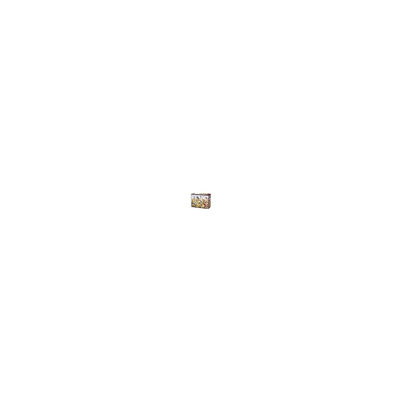 2000 Field Song