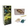 Dinosaurios 3D Kit de excavación