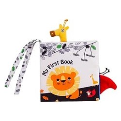 LIBRO TEXTURA LEON